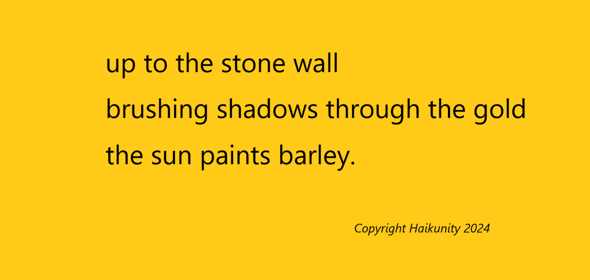 HaikUnity's tweet image. 