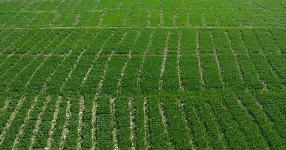EthiopianNewsA's tweet image. #Ethiopia achieved significant accomplishments in its desires of food sovereignty. It was based this milestone that the country was chosen to host the Second UNFSS+4). Read here the full article by our staff.
ena.et/web/eng/w/eng_…