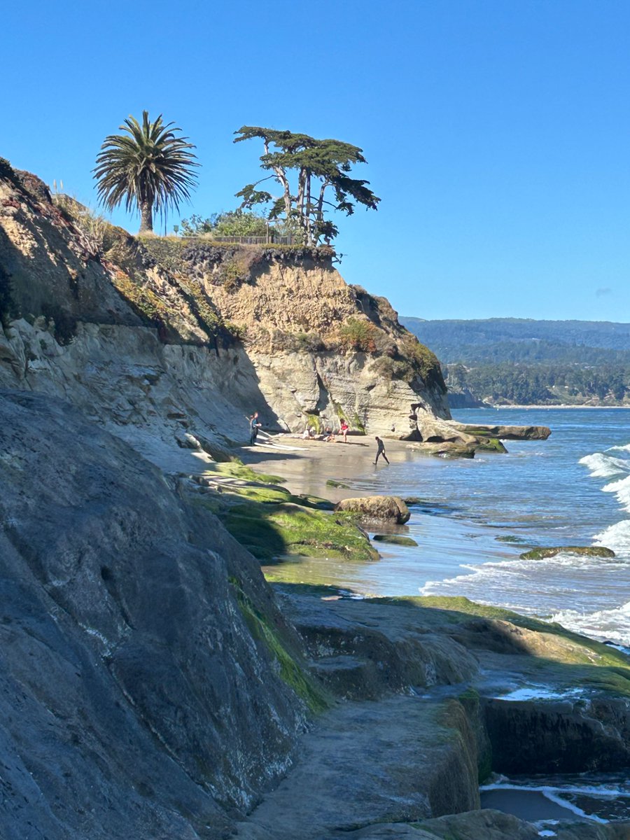 BrianStofiel's tweet image. GM
finally hit the house at 3:30 am last night from the west coast.
no joy we will not be discussing the surfing🤣😂
it’s pretty (damn cold water)