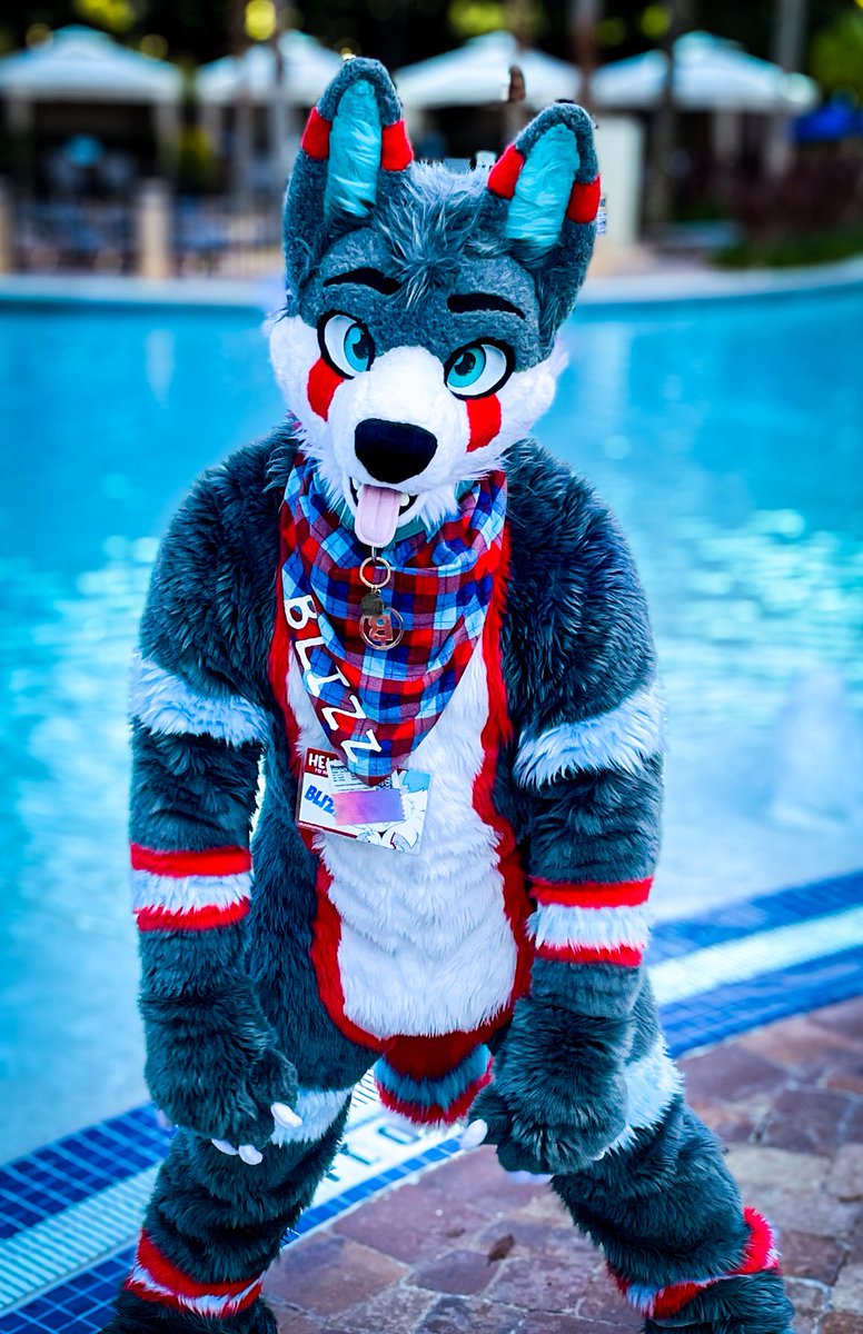 BlizzTheWolf's tweet image. Today is definitely a pool day 🏊‍♂️ 💦