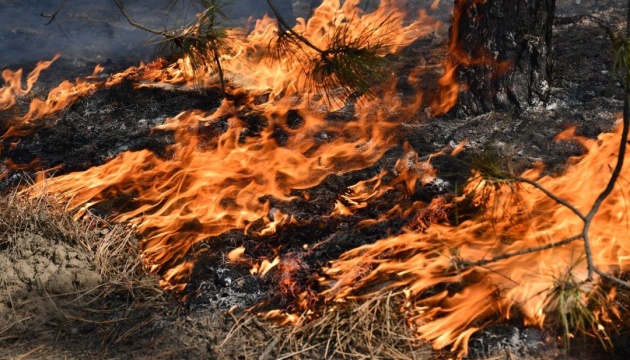 Europe9Focus's tweet image. Wildfire breaks out on the Greek island of Kythira — evacuation efforts underway as flames spread rapidly.

#Greece #Kythira #Wildfire #BreakingNews