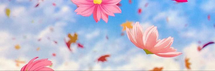 teruhsahi's tweet image. — iwm bait !! . ݁₊ 🪷 ⋆. ݁
reply to this and i’ll assign you a flower by what it symbolizes!