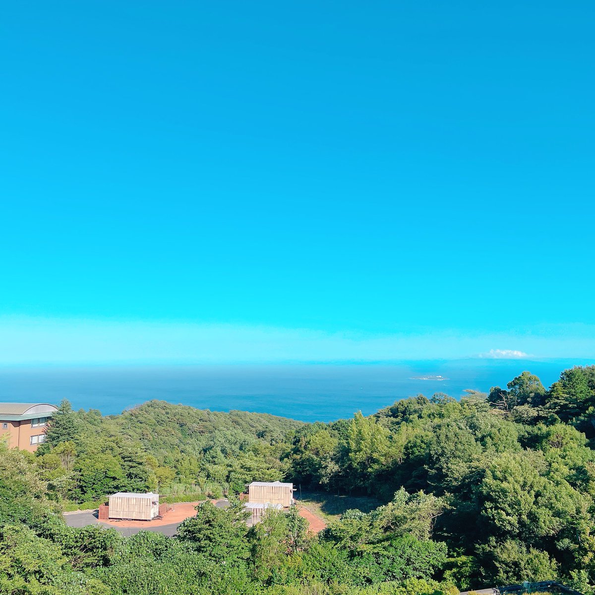 matyu0911's tweet image. ( ᎔ ˘ᴥ˘᎔)無…