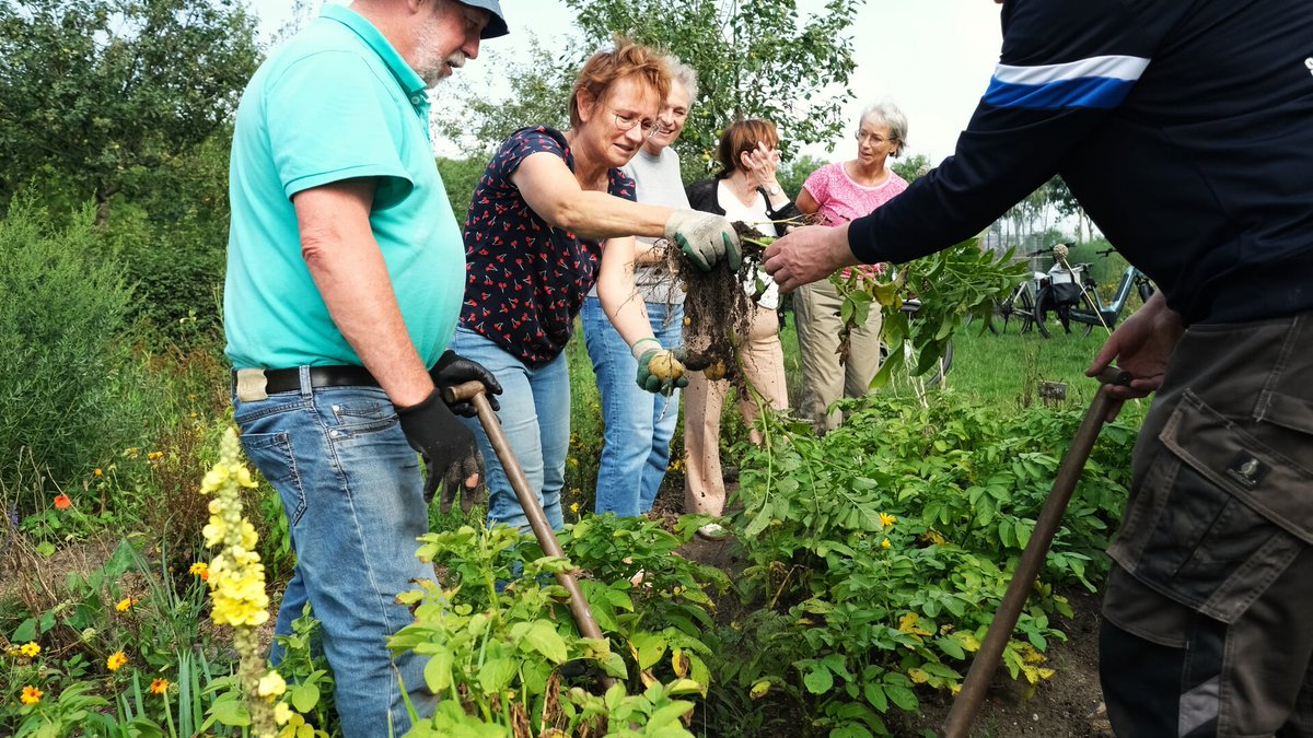 Zomerse oogst en groene passie bij IVN-tuin in Rhenen dlvr.it/TM7MhL