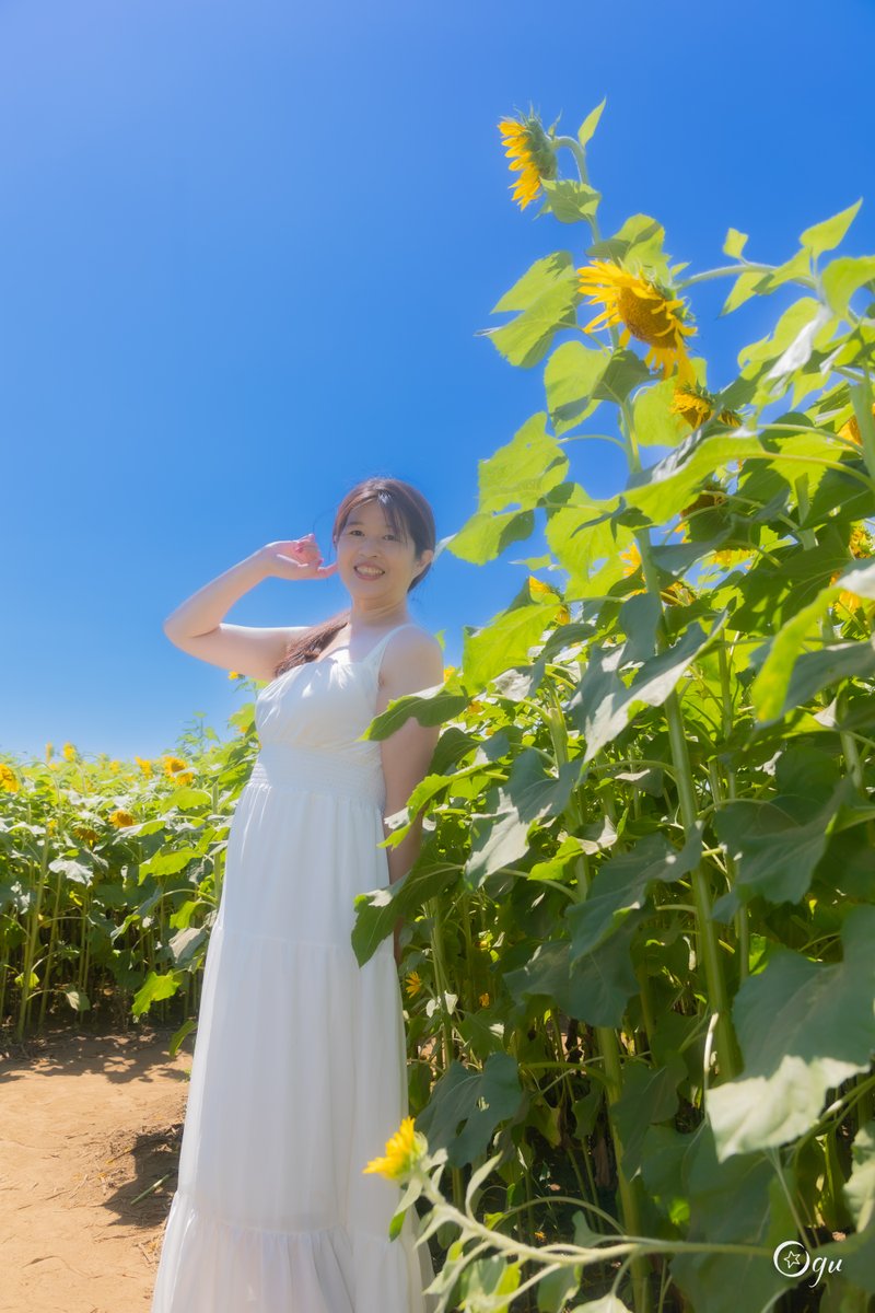 tk84akr's tweet image. Neiro. (@wachisuki ) 

#藤崎ひまわり回廊 🌻
#coregraphy #写真 #photo #portrait #ポートレート 
#cameraman #カメラマン #東京カメラ部