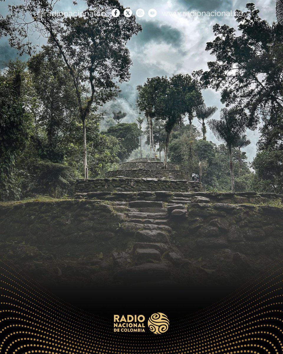 RadNalCo's tweet image. #Actualidad|🌿 El equipo de RTVC ya está en Ciudad Perdida, listos para una hazaña periodística sin precedentes. Somos el primer medio en la historia en llegar hasta este enigmático lugar para una transmisión especial.