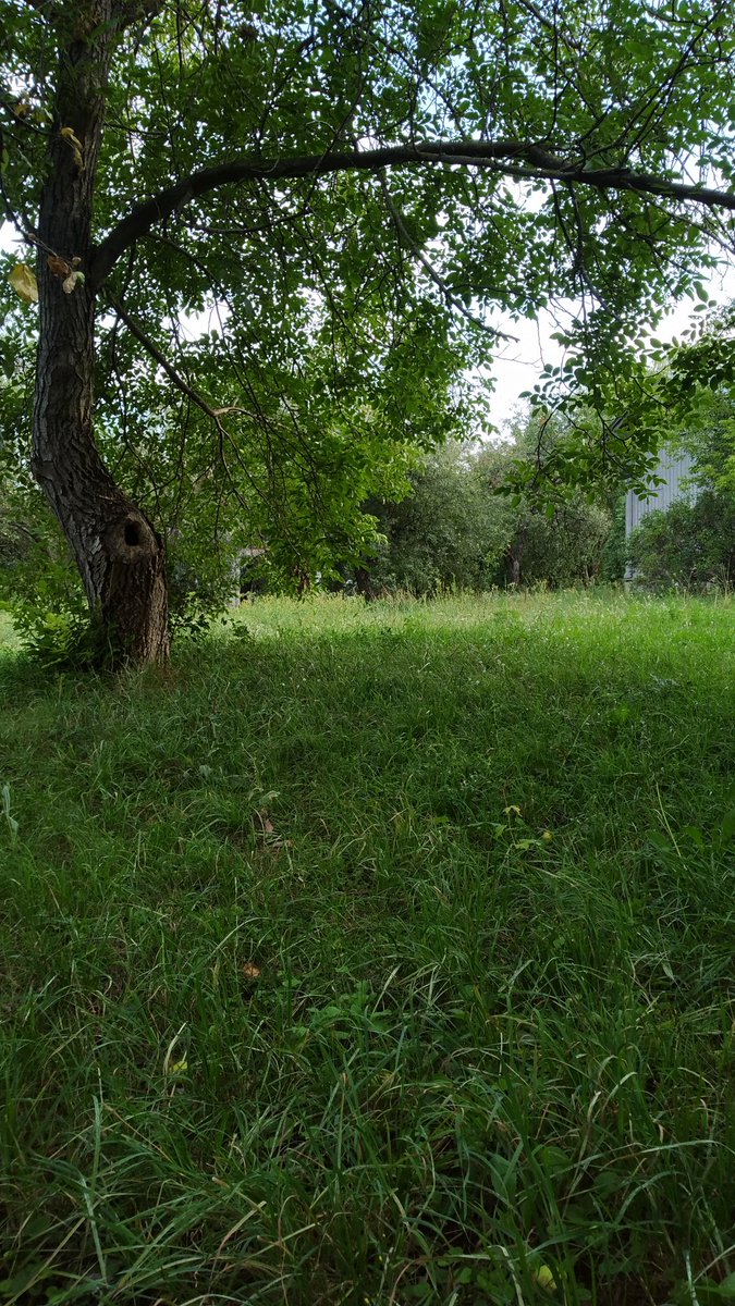 JuliaAugust11's tweet image. чіл максимальної потужності
