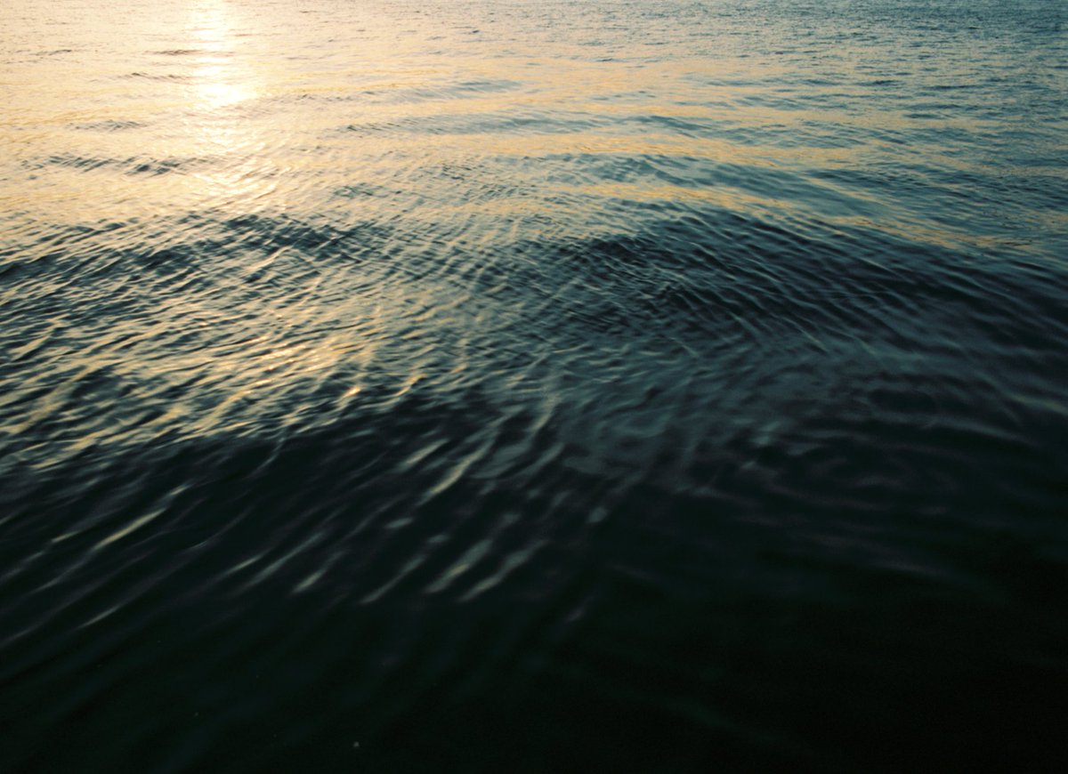 _mago0108's tweet image. 