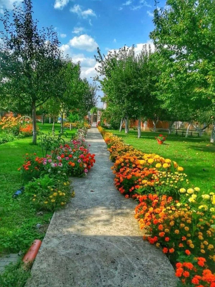 Strolling 🚶🏻‍♂️ down the garden