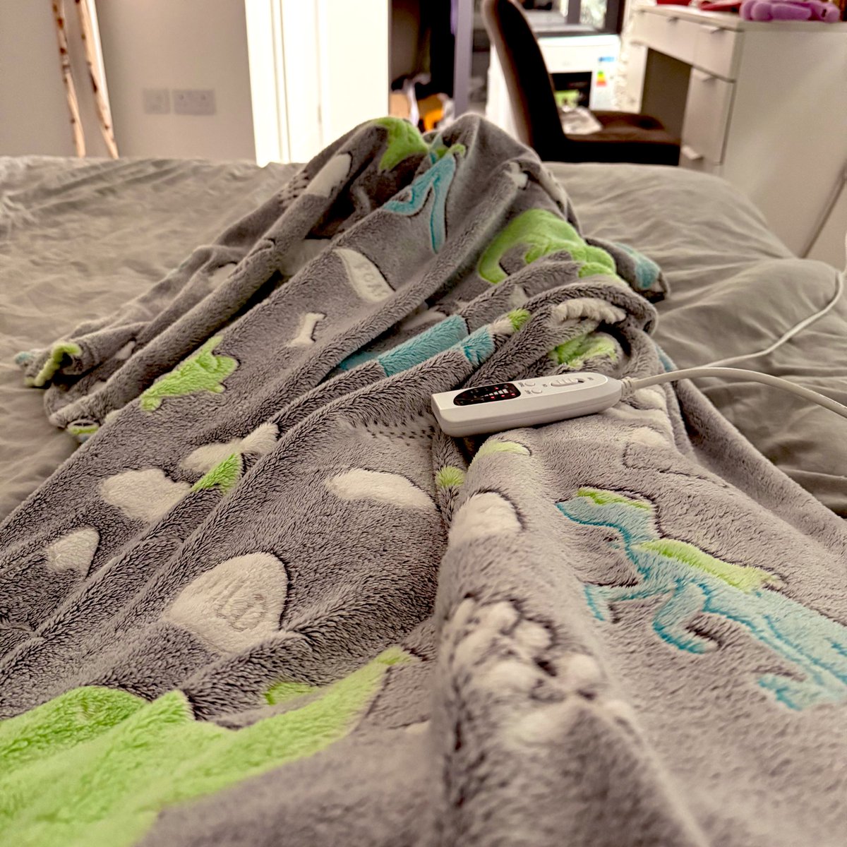 fighting off chronic pain listening to the rain with my heat pad and dinosaur blanket just as nature intended 🦖🦕💤