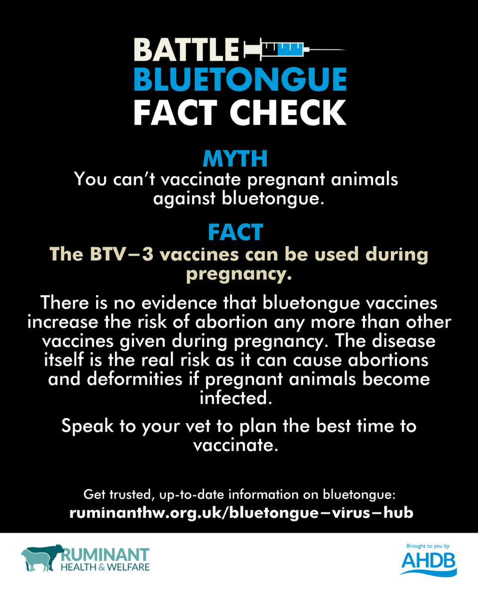 ruminanthw's tweet image. Find all #BattleBluetongue resources from @RuminantHW @TheAHDB  
ruminanthw.org.uk/bluetongue-vir…