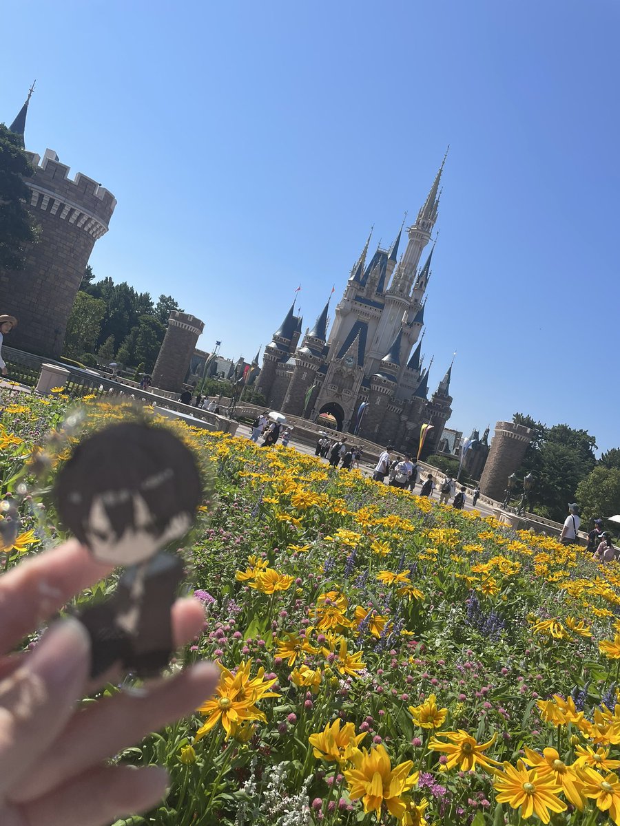 #れりさーち
ディズニー連れてった！
ブレててごめんね😭