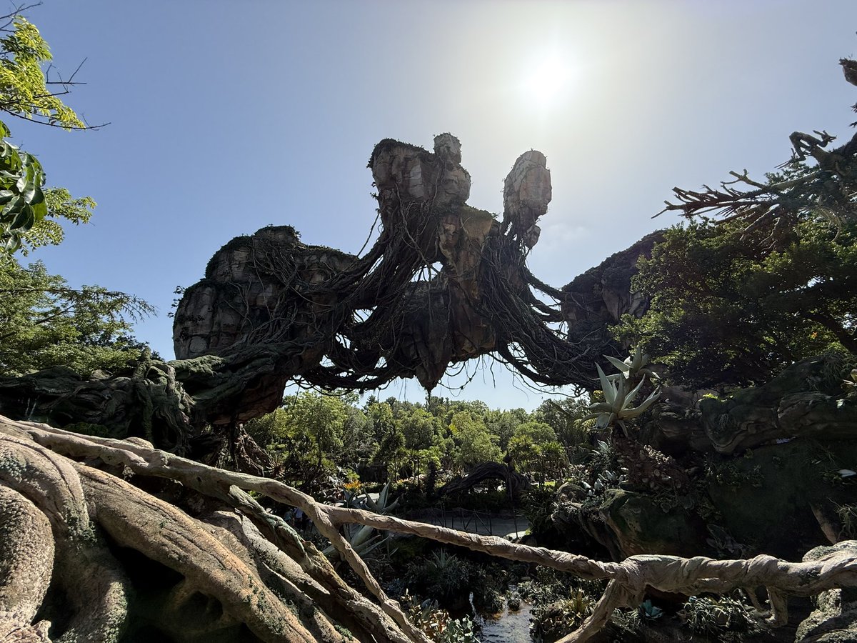 Standing in the line for Avatar in Animal kingdom be rude not to watch live timing