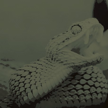 vnomcus's tweet image. ╱  still,  i  love  this  viper.  🥹  is  so  precious.