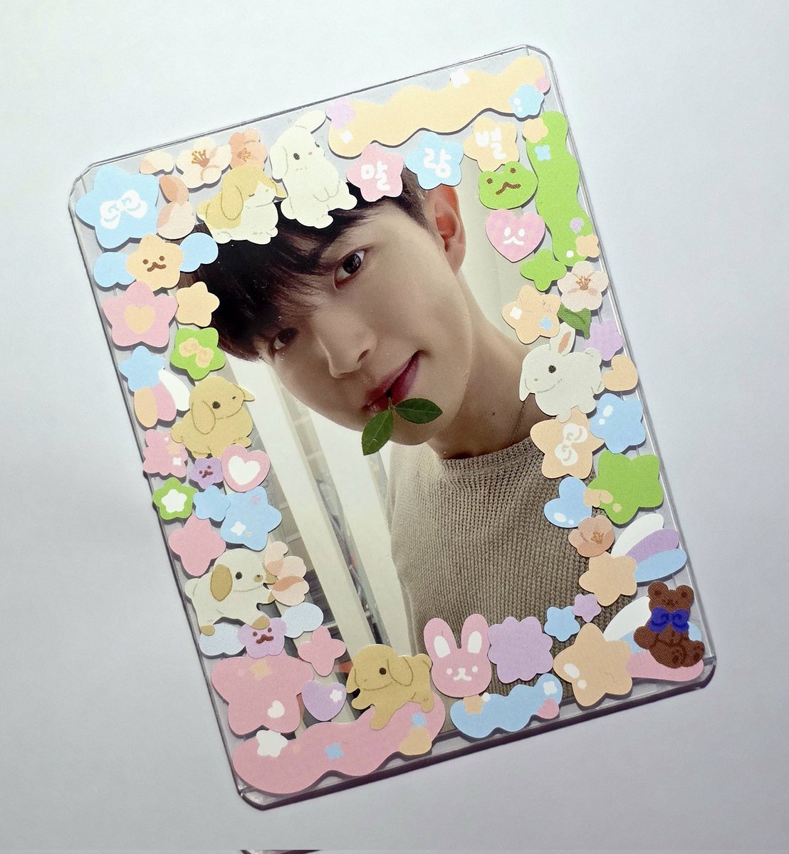 #오늘의_탑꾸

보고싶다 토끼야