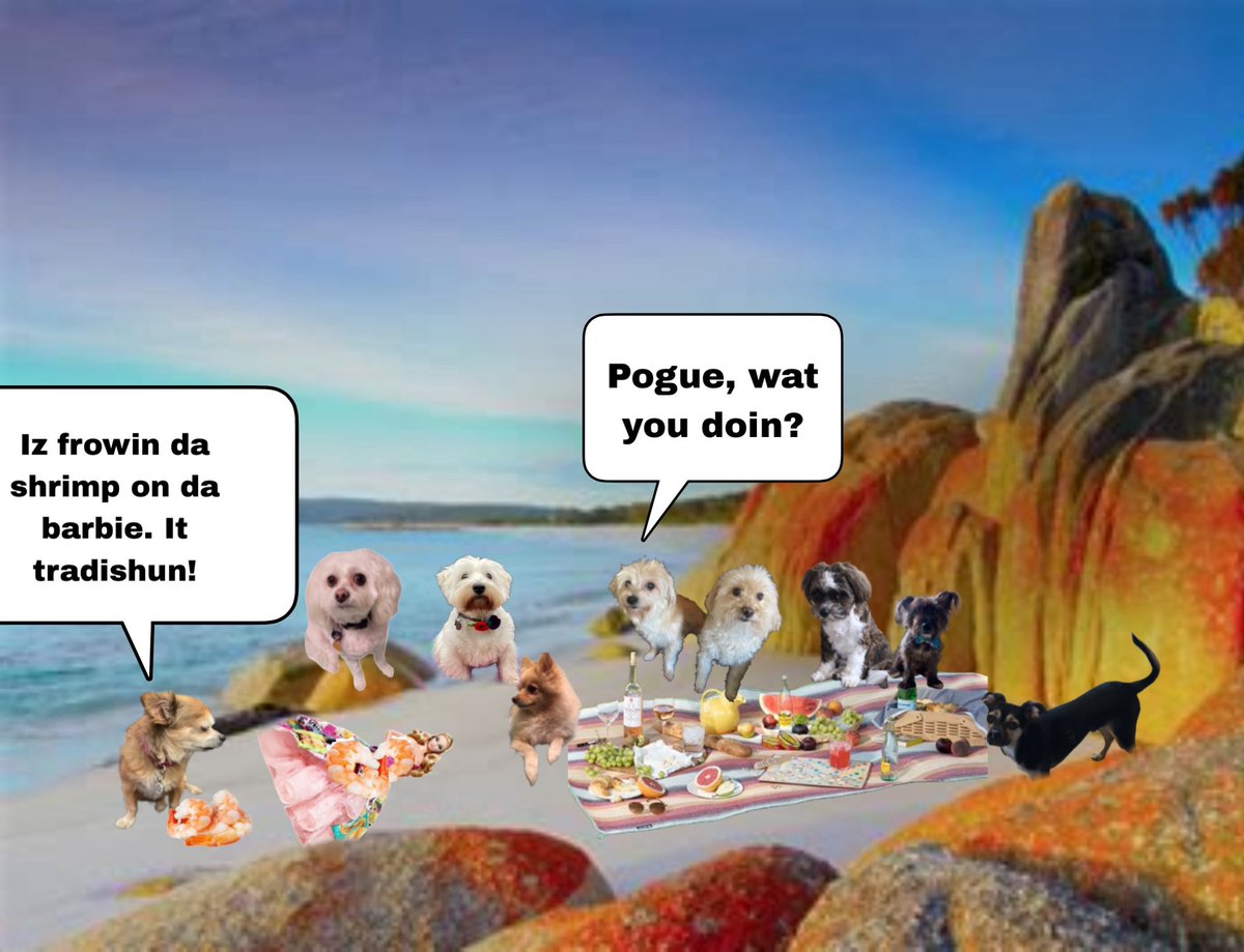 *pogue brings snacks* #zzst <a href="/Helen09Porter/">Finlay the Westie & his Mom</a> <a href="/BeanPaisley/">Granna and Paisley Bean 🇺🇸</a>