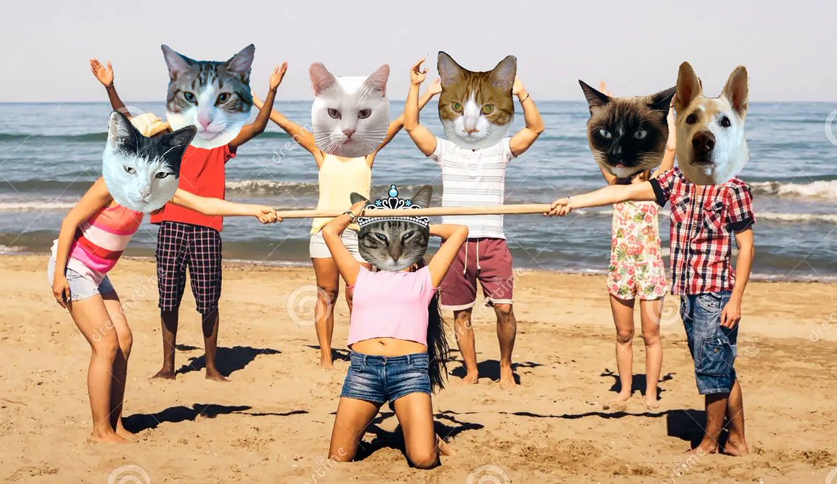 🌊😺Flo and Brigadier Sammy😺🌊 (@aurora3s) on Twitter photo #zzst <a href="/catsrule0/">Marie Choo Choo, married to Chalky</a> <a href="/MauSupercat/">House of Mau</a> <a href="/AviwhiteGSD/">Avilovesdogsandcats❤️</a>
<a href="/JennyNicholas4/">Jenny,Saffy,Tigger,Fizbo an Twerp da Canary</a> <a href="/GeneralBazz/">GENERAL BAZZ - GENERAL,LORD BIDDY(ANGEL)</a> <a href="/gensbazzbiddy/">GensBazz&Biddy</a> Now we doing Limbo stick challenge. Princess haz got this one down easy. Any challengers ??? #zzst <a href="/catsrule0/">Marie Choo Choo, married to Chalky</a> <a href="/MauSupercat/">House of Mau</a> <a href="/AviwhiteGSD/">Avilovesdogsandcats❤️</a>
<a href="/JennyNicholas4/">Jenny,Saffy,Tigger,Fizbo an Twerp da Canary</a> <a href="/GeneralBazz/">GENERAL BAZZ - GENERAL,LORD BIDDY(ANGEL)</a> <a href="/gensbazzbiddy/">GensBazz&Biddy</a> Now we doing Limbo stick challenge. Princess haz got this one down easy. Any challengers ???