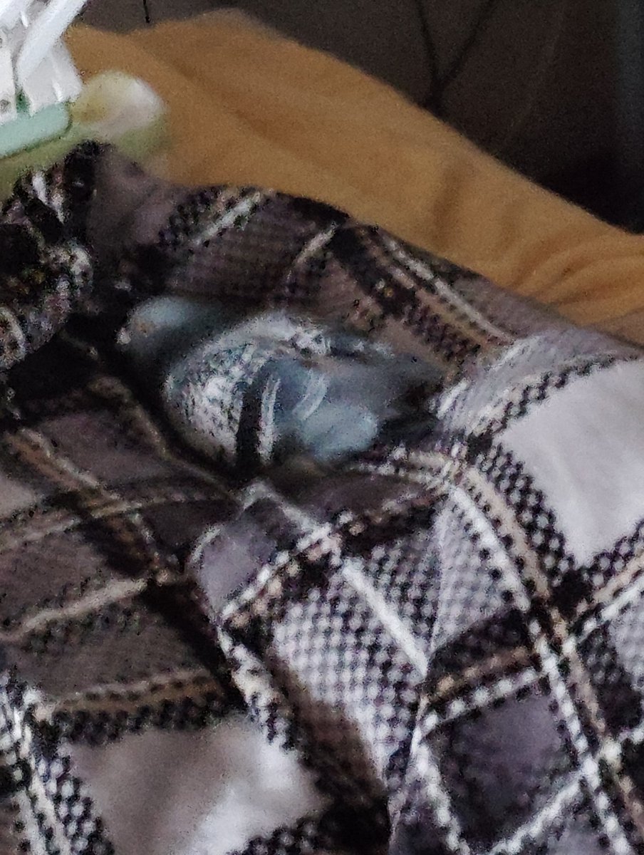 #何の脈絡もない画像を貼って寝る