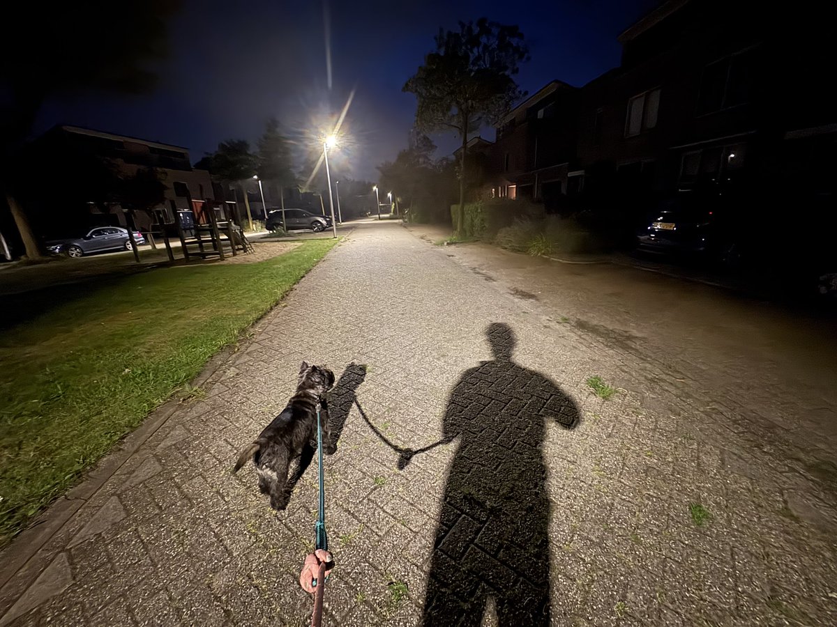 gerardrigter's tweet image. Niet normaal meer, die nieuwe #straatlantaarns van de @gemeentehouten. Alsof je steeds in de schijneerpers loopt.