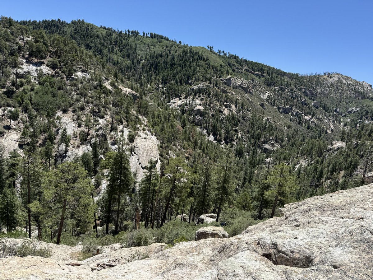Mousemetax's tweet image. To be optimized…

You can go to the gym…

Or, be in nature ⛰️