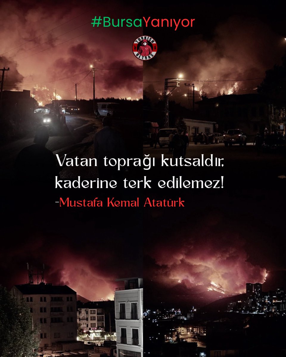 Ağaçlar, hayvanlar, hayatlar yanıyor...
Her sessizlik, bir nefesi daha susturuyor.

#TürkiyeYanıyor
#BursaYanıyor 
#KarabükYanıyor 
#KahramanmaraşYanıyor
#KocaeliYanıyor
