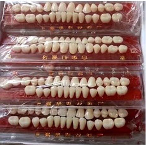 RickyChanRC's tweet image. The child laborers of the Church of the Forgiving Eagle cobalt mine shed their teeth at a phenomenal rate. They've been instructed to turn them in to @PastorAlexLove for cleaning, sizing, & resale in China.
They sell for $100 per set.