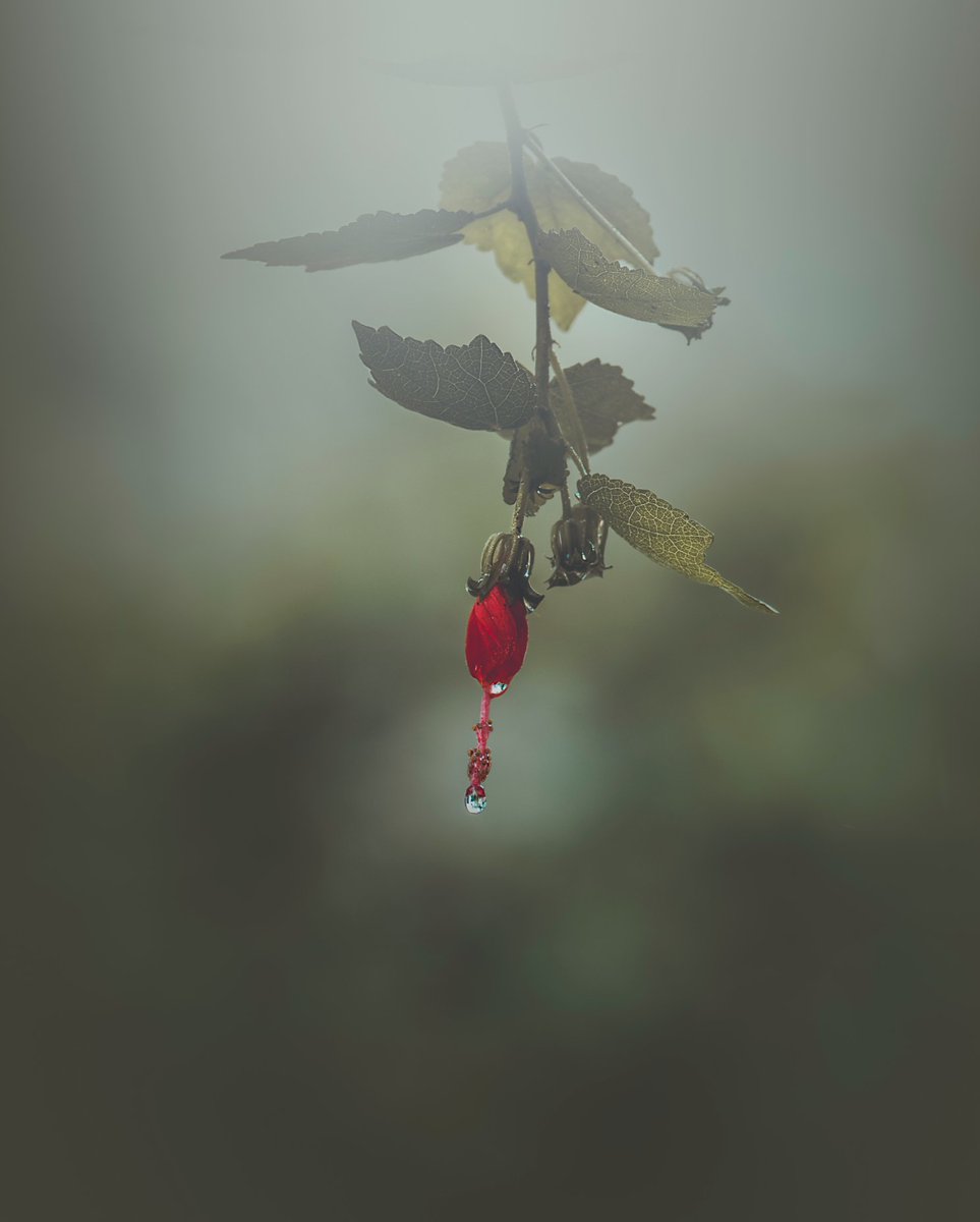 "Crimson Tear"
exchange.art/single/fmvxMQs…