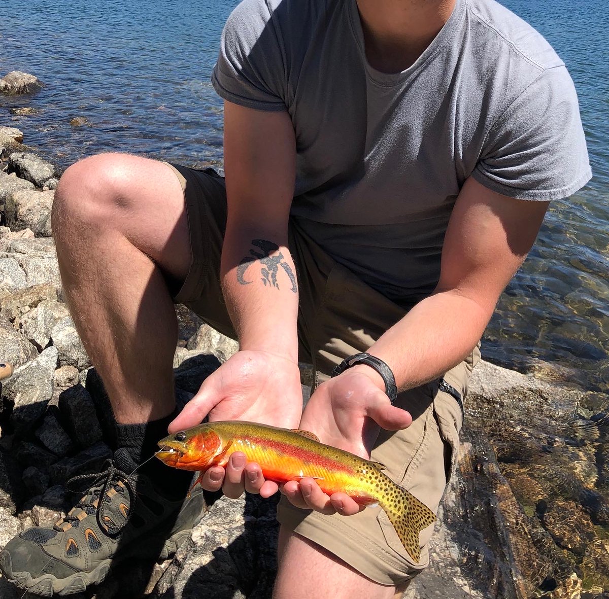 Jayslife_work's tweet image. Montana is one of the greatest places on earth.
Hiked 7 miles up for this beautiful Golden Trout.
Always make time for adventure. The benefits for the mind are incalculable.