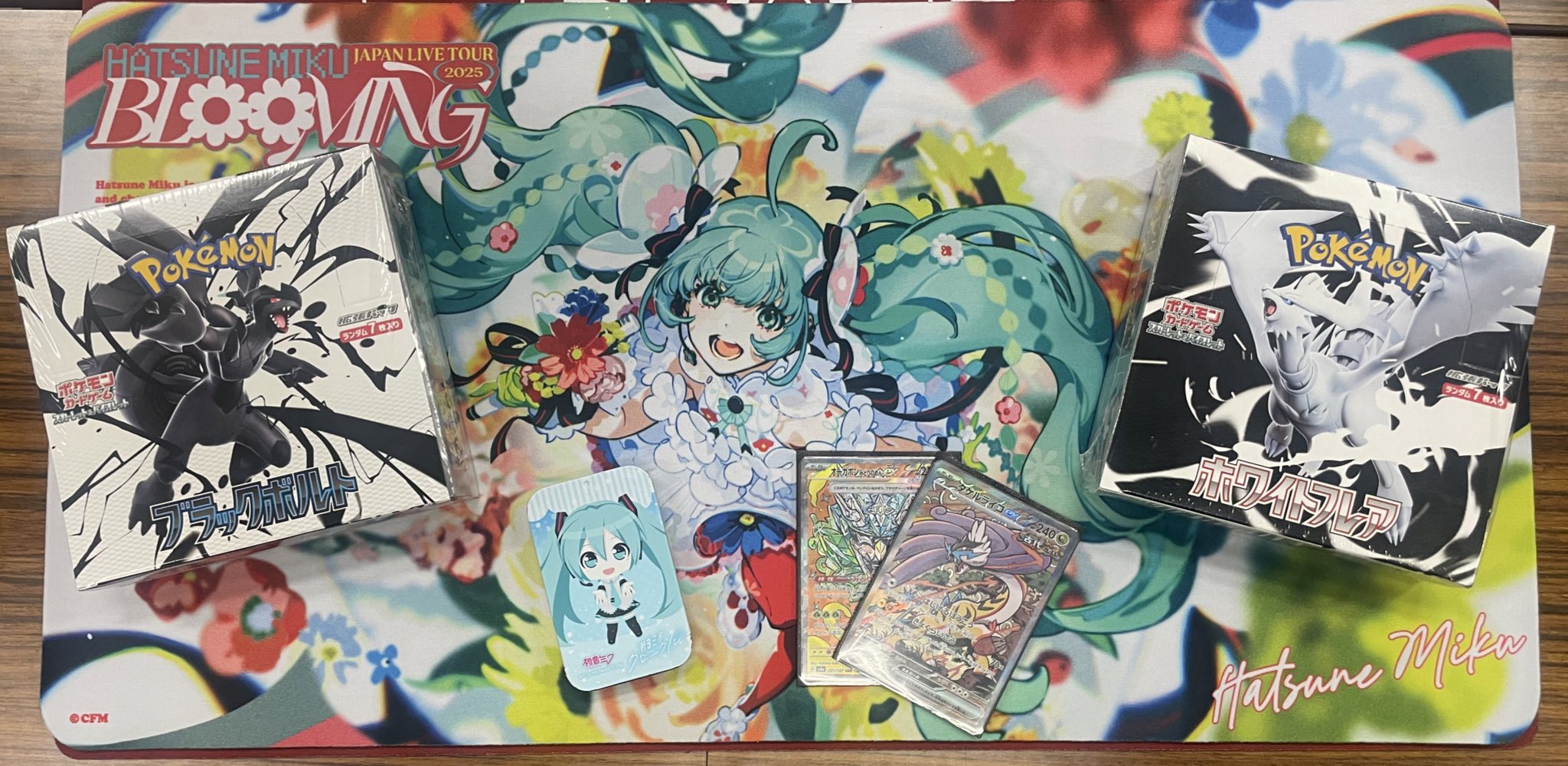 野村 (@nomura_ptcg) / X