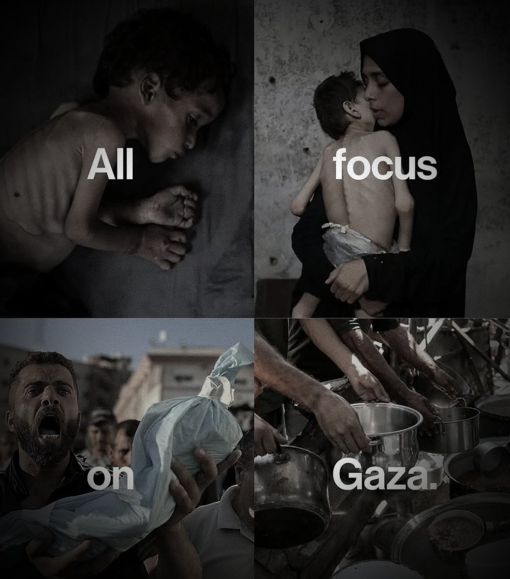 We will not forget. We will not forgive.

#HungerlsNotAWeapon