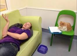 punniebugger's tweet image. #WhatMyTherapistSaysIs seeing cats everywhere is a figment of my imagination