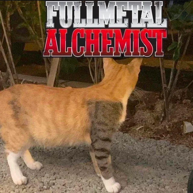 Fullmetal Alchemist (@fmaperfectshots) on Twitter photo 