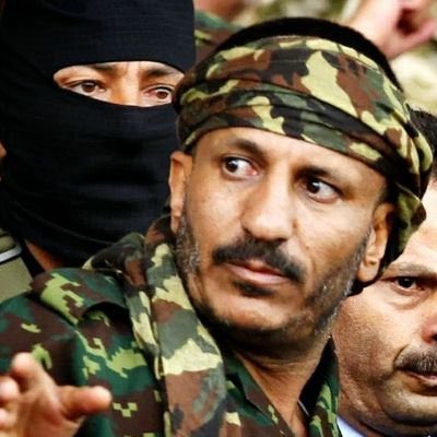 كيف هرب طارق صالح؟