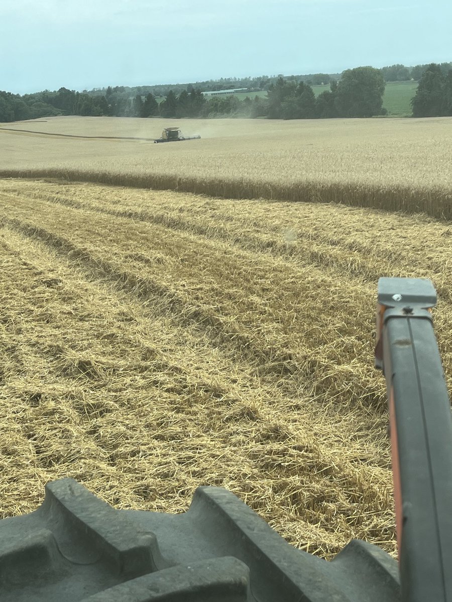 Got to a different neck of the woods to do harvest ⁦<a href="/burnhamfarms/">Mark Burnham</a>⁩ too humid to see a clear view of lake