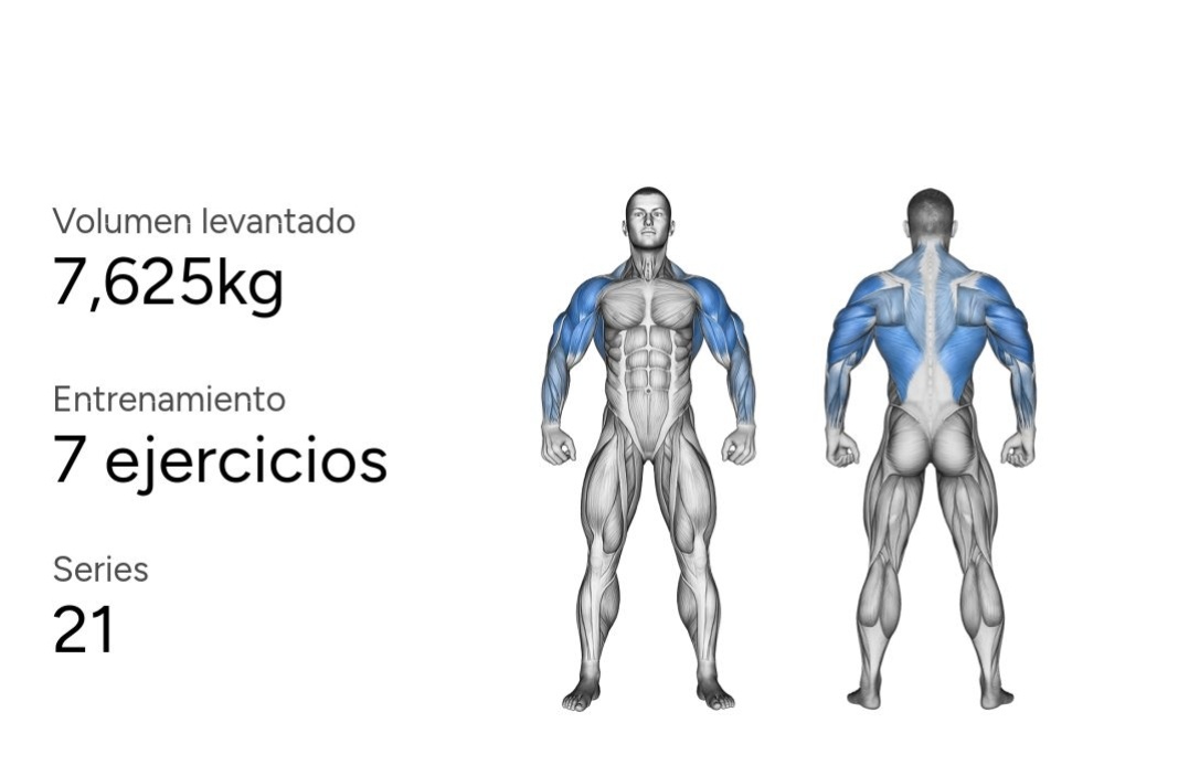 akaachaval's tweet image. Dia 8: Bracitos