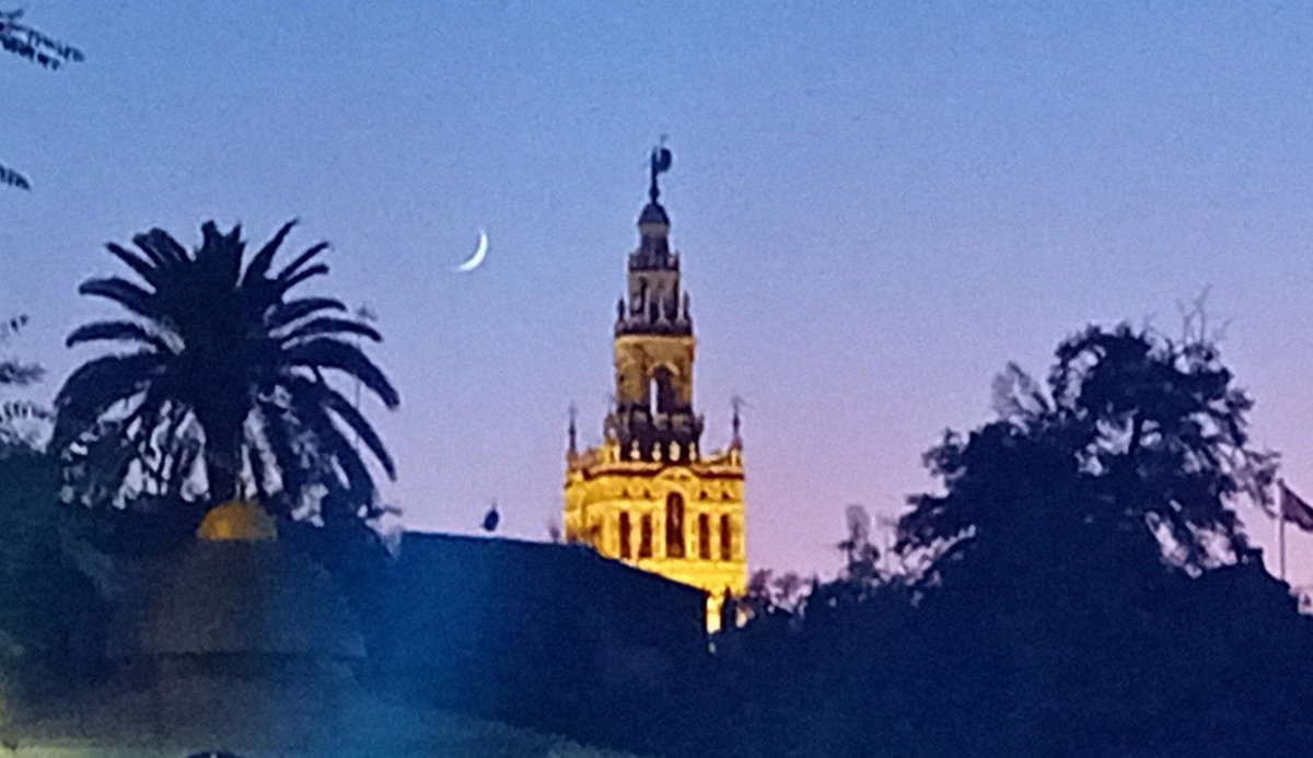 Tatarixi10's tweet image. Hay lunita en Sevilla
Buenas noches 🌟