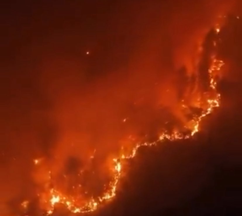 Ümit Özdağ: "Ülke yangın yerine döndü.

Ne yangının çıkarılmasını engelleyebiliyorlar ne de çıkan yangını söndürmeyi becerebiliyorlar."