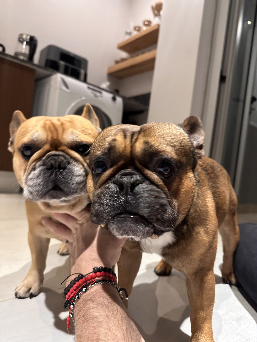 jpdevi's tweet image. Nose como explicar, posta.