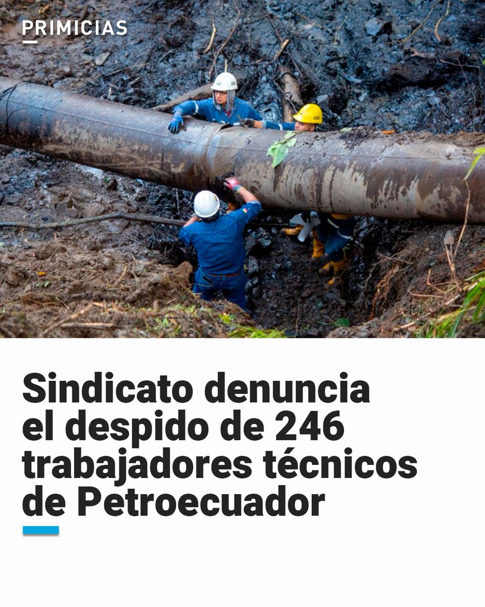 Primicias's tweet image. La Asociación Nacional de Trabajadores de las Empresas de la Energía y el Petróleo expresó que fueron despedidos geólogos, geofísicos e ingenieros "claves para la producción nacional". primicias.ec/economia/sindi…