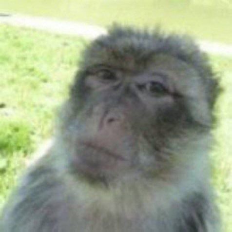 fkaemu's tweet image. when my friends post abt being at a coffee shop but it’s not the one i work at