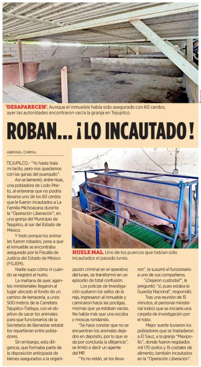 Halloween_miau's tweet image. Sólo a una persona tan incompetente como @delfinagomeza pueden robarle lo incautado a la delincuencia en edomex.
Fueron robados 60 cerdos de un rancho asegurado que iban a ser repartidos a los afectados por el cobro de piso
