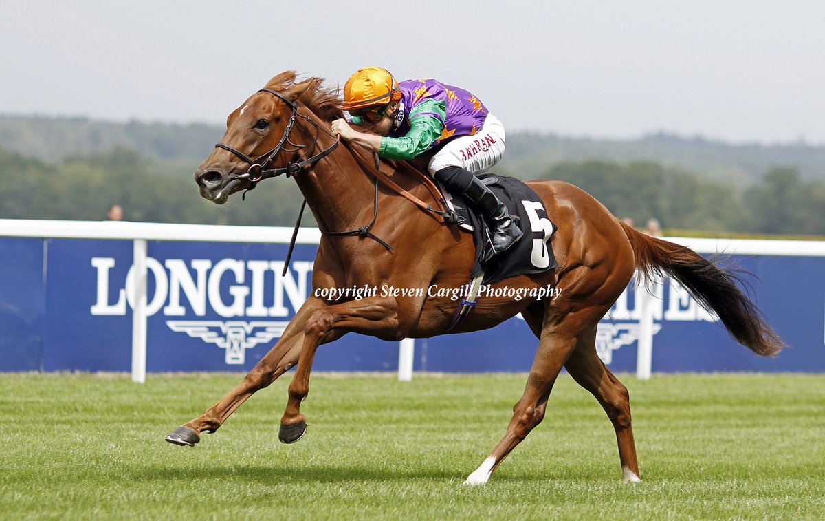 Steven Cargill tweet media