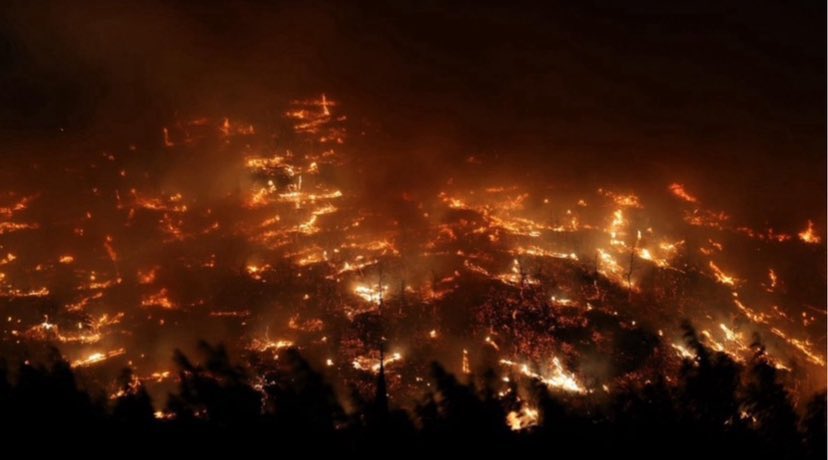 Vatan toprağı kutsaldır, kaderine terk edilmez
 #BursaYanıyor
#KarabükYanıyorSessizKalma