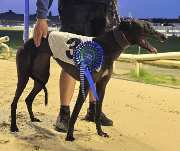 RomfordDogs's tweet image. ⭐️Winner of Race 8 - Romford Saturday 26th July 2025

🥇Trap 3 - FABULOUS MAGIQUE

Trainer🏆- David Mullins 
Owner(s)🐾- Mr D.P.Firmager 

Congratulations to Connections!💕