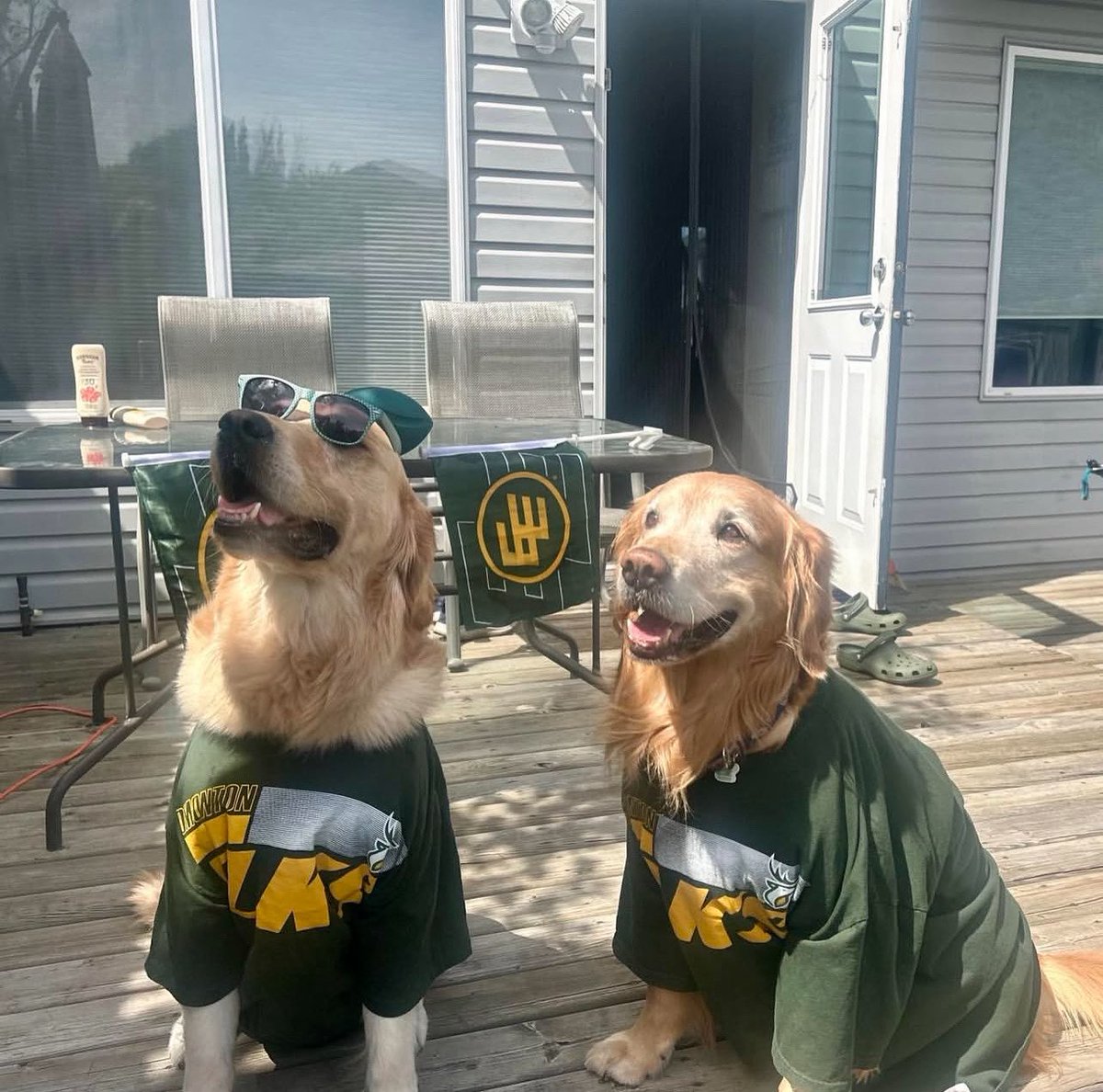 Elksnationdotca's tweet image. Yes humans look fab in green and gold, but our furry friends rep it well too 🤩
📸: @/mr_colin_mccartney on instagram