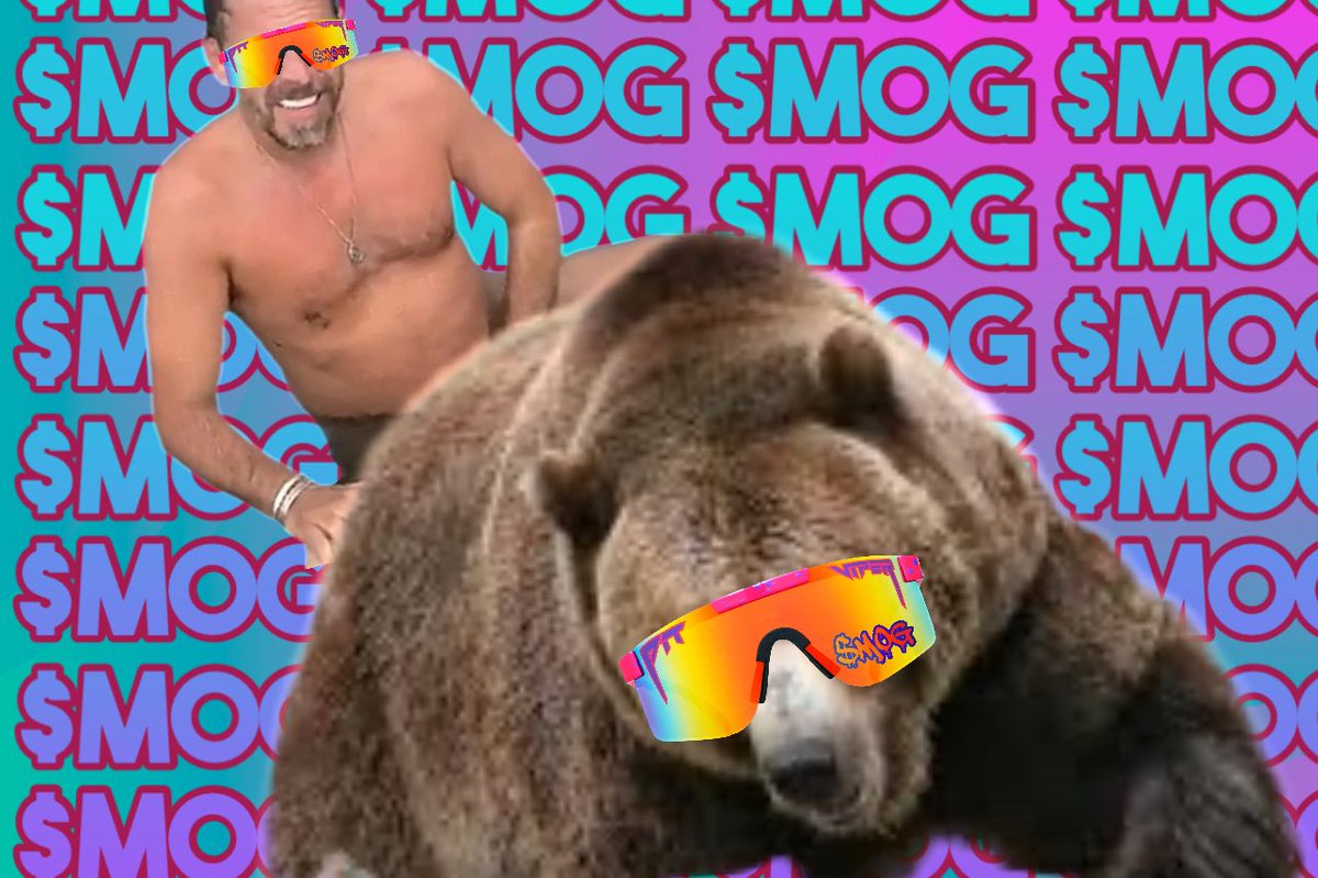 MOG THE BEARS 🫵😹