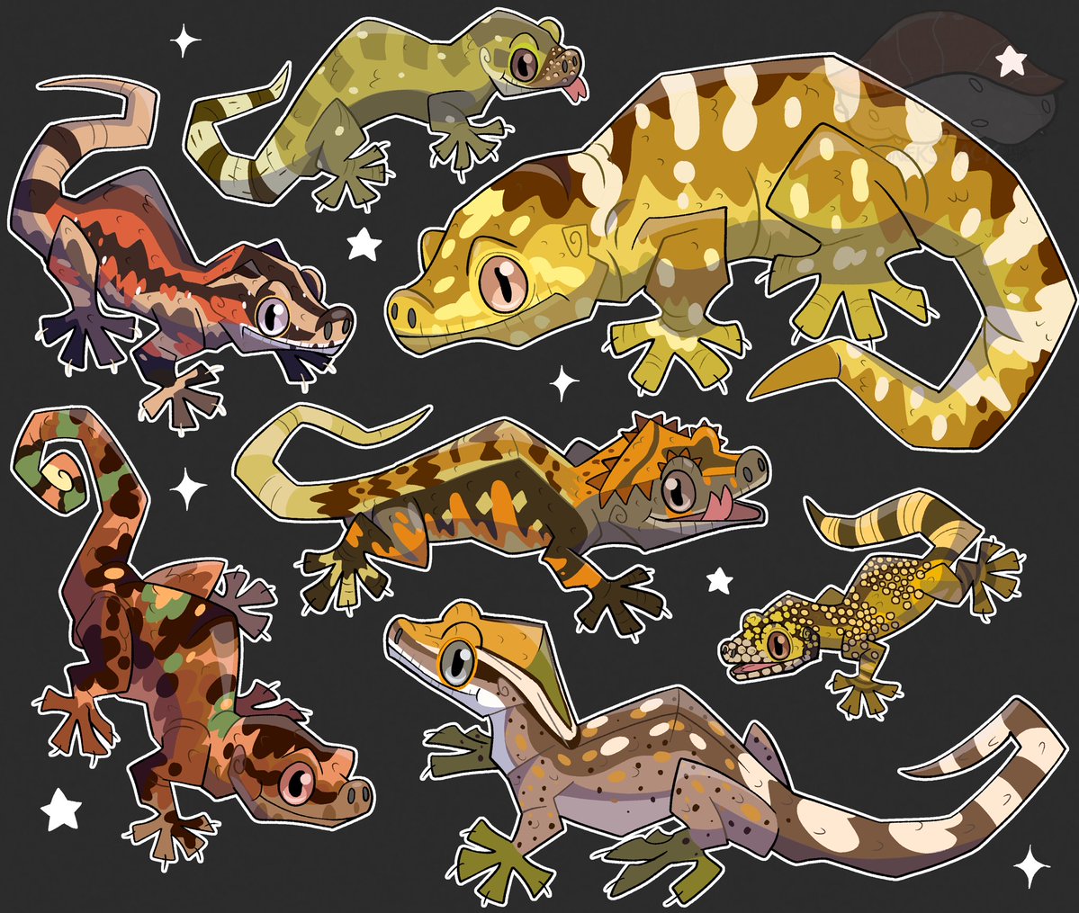 Snek_Snack's tweet image. Roll call: where are my reptile owners and their scale babies at? 🐍💖