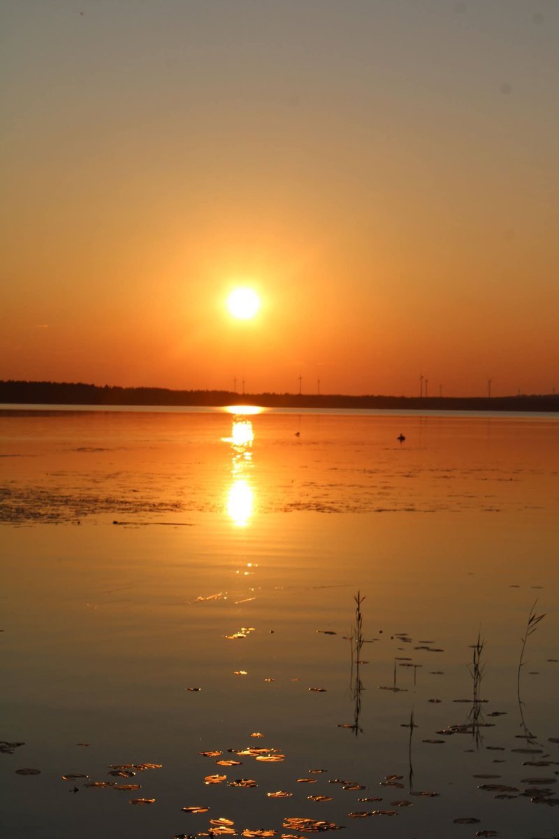 ab_cd_1235's tweet image. 