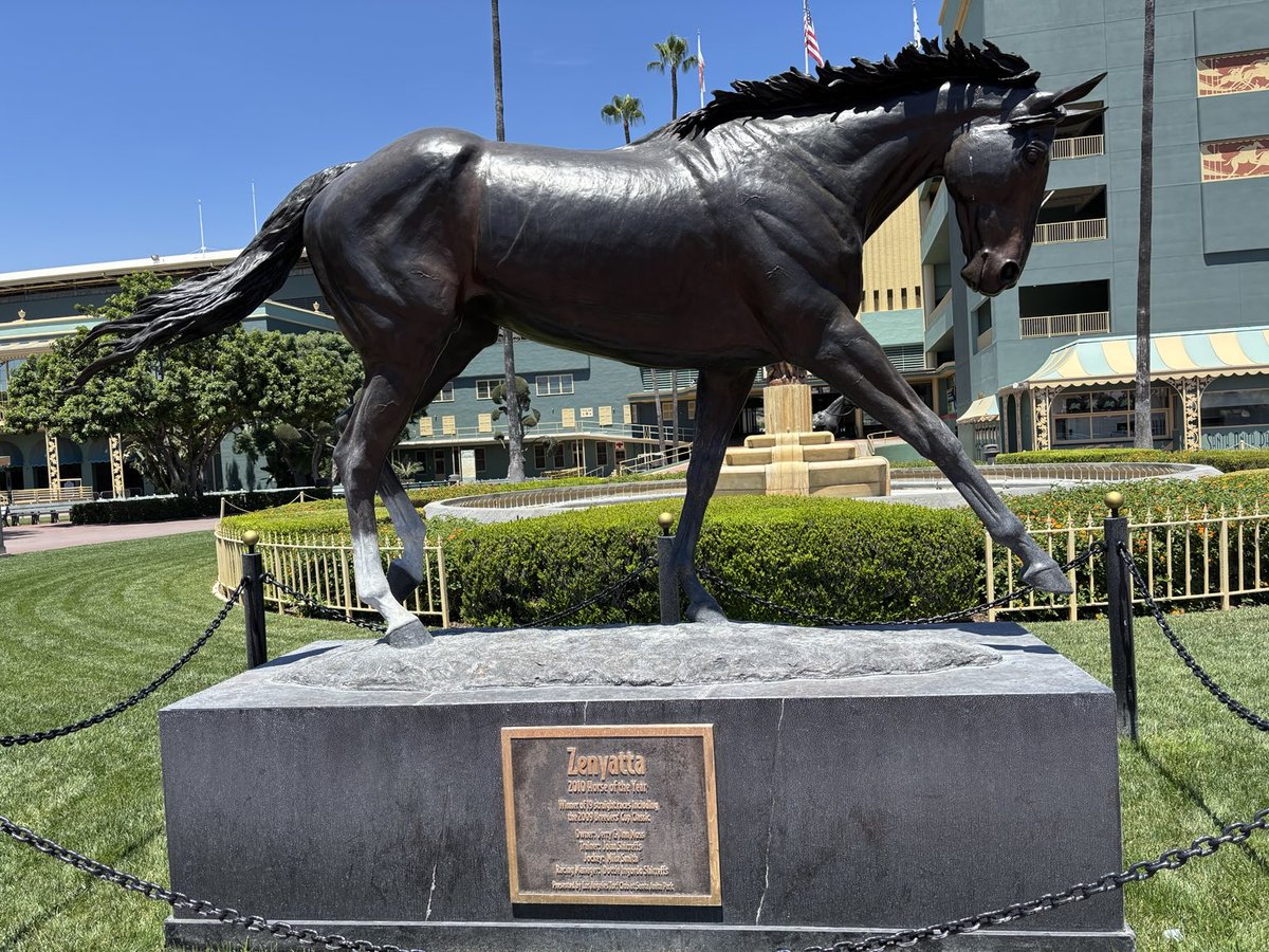 lisapease's tweet image. I remember seeing her beat the male horses in the breeders cup classic. I had money on her and the other people thought it was crazy. Fillies don’t usually beat Colts. But she was special.