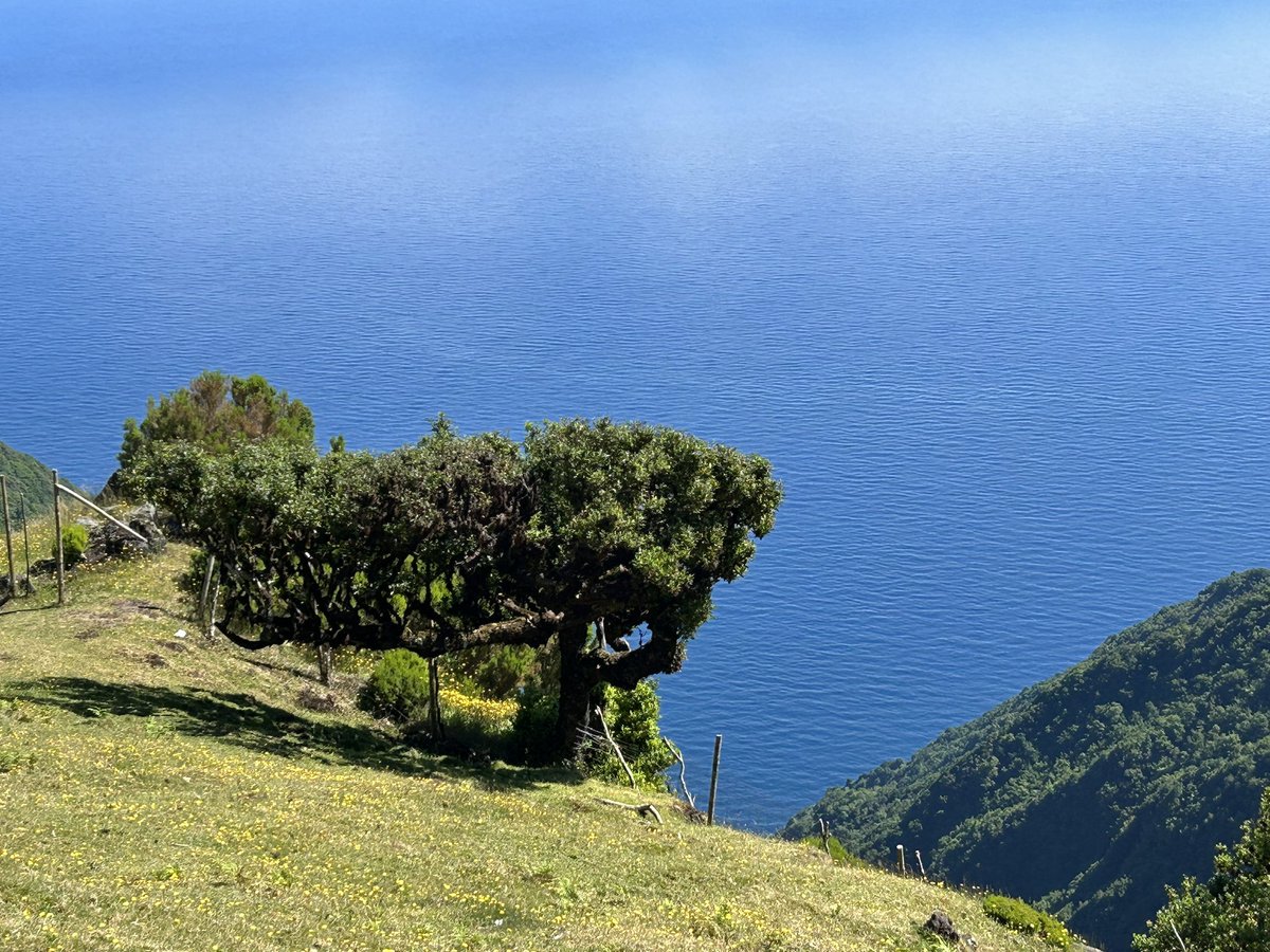 Dr.jur. Howald tweet media